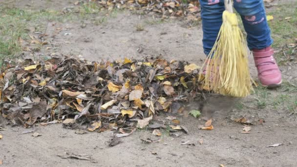 Bambina spazzare le foglie con scopa nel parco — Video Stock