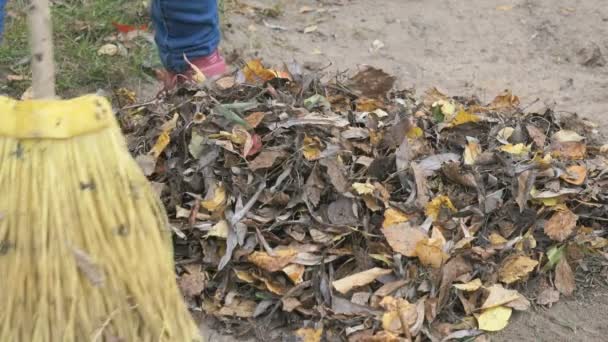 Liten flicka svepande bladen med kvast i park — Stockvideo