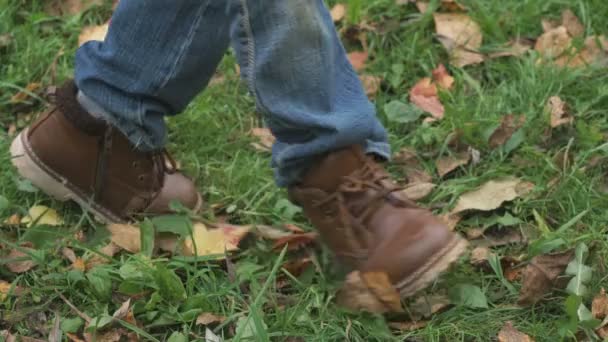 Menino caminhando na grama verde no parque outono — Vídeo de Stock