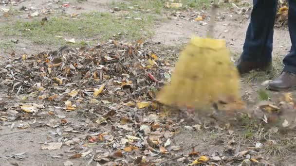 Женщина подметает листья метлой в парке — стоковое видео