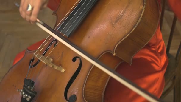 Kvinna som spelar Kontrabas i orkestern — Stockvideo