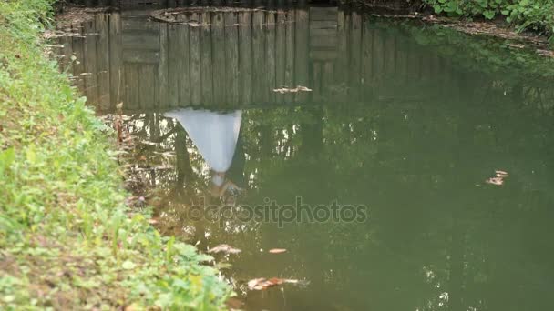 新娘和新郎湖中的倒影 — 图库视频影像