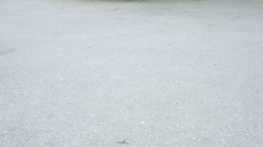 Çocuk ile bir scooter bir yaz parkta gidiyor. Yakın çekim