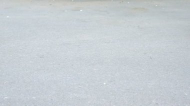 Çocuk ile bir scooter bir yaz parkta gidiyor. Yakın çekim