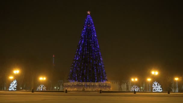 Рождественская елка мигает ночью — стоковое видео