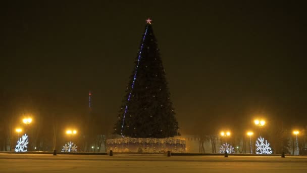 Árbol de Navidad parpadeando por la noche — Vídeos de Stock
