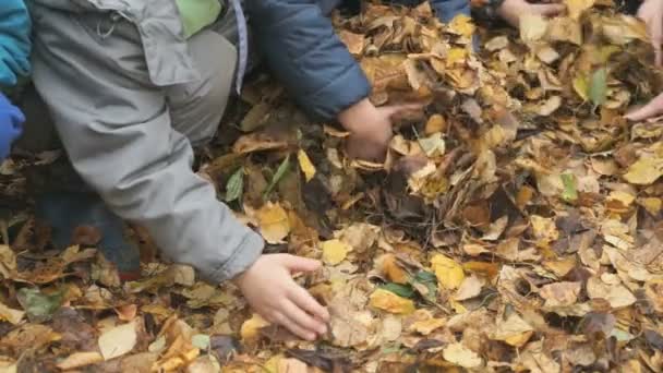 Неизвестные маленькие дети в осеннем парке — стоковое видео
