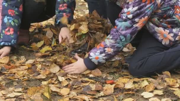 Okända små barn i höstlig park — Stockvideo