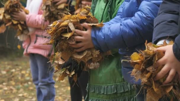 Petits enfants inconnus dans le parc automnal — Video