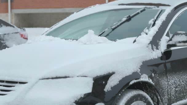 Čištění auto od sněhu — Stock video