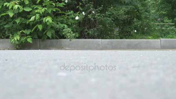 Barn rider en rullarna i en park i sommar. Närbild — Stockvideo