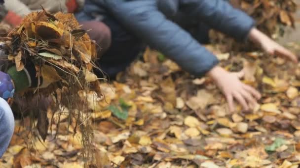 未知的小孩子们在秋天的公园 — 图库视频影像