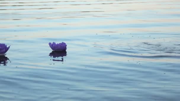 Blauwe water van de lilys met kaars op water — Stockvideo