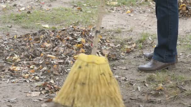 Mujer barriendo las hojas con escoba en el parque — Vídeos de Stock