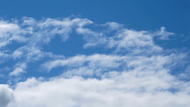 Nubes flotantes blancas en el fondo del cielo azul — Vídeo de stock