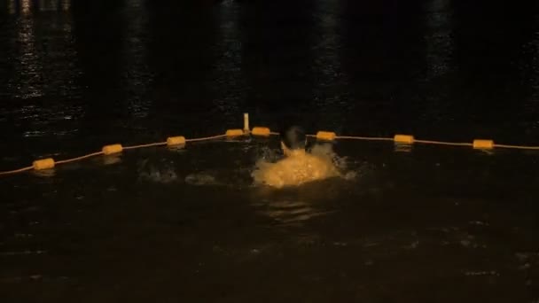 Menschen schwimmen im Winter in kaltem Wasser im Fluss — Stockvideo