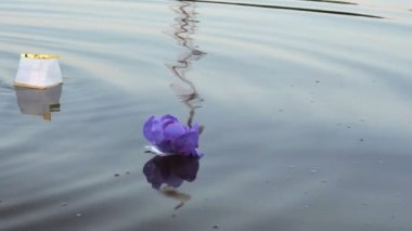 Farklı renkler nilüferler mum su ile