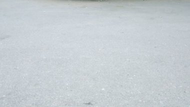 Çocuk ile bir scooter bir yaz parkta gidiyor. Yakın çekim