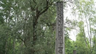 Tabela Vitoslavlitsy Köyü ahşap yayında