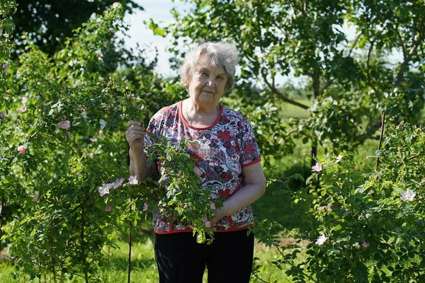 Eski gülümseyen kadın gargen içinde portre