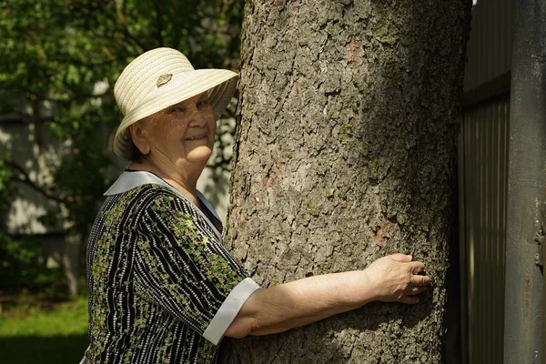 Anciana abrazando tronco de árbol sus manos en el bosque Fotos de stock