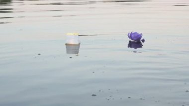 Farklı renkler nilüferler mum su ile