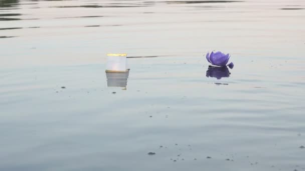 Different colors water lilies with candle on water — Stock Video