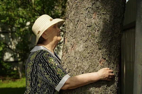Ηλικιωμένοι αγκάλιασμα κορμό δέντρου τα χέρια της μέσα στο δάσος — Φωτογραφία Αρχείου