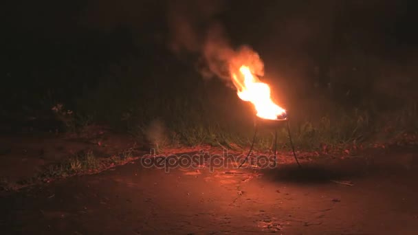 Las llamas en un tazón de fuego en la noche al aire libre — Vídeos de Stock