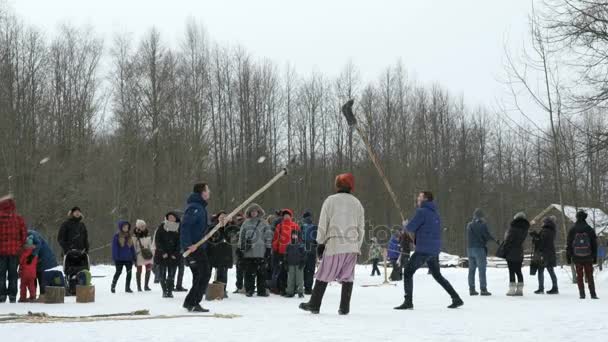 Витебцы в Великом Новгороде зимой — стоковое видео