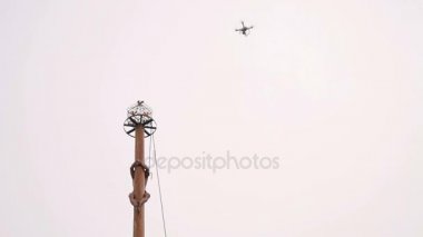 Adam ayağı Shrovetide Karnaval sırasında