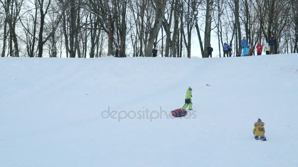 Children sledding downhill on a sunny winter day — Stock Video