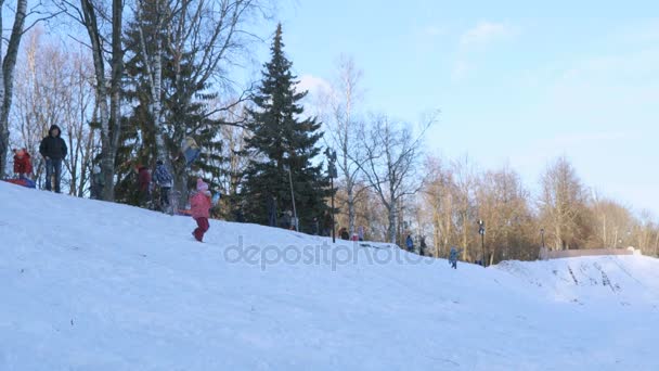 Children sledding downhill on a sunny winter day — Stock Video