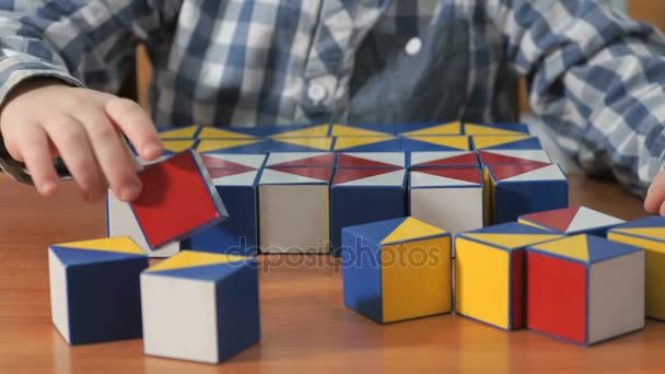 Kleine jongen verzamelen met behulp van de patroon gekleurde kubussen — Stockvideo