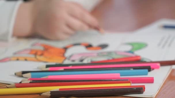 Child draws the pictures using color pencils — Stock Video