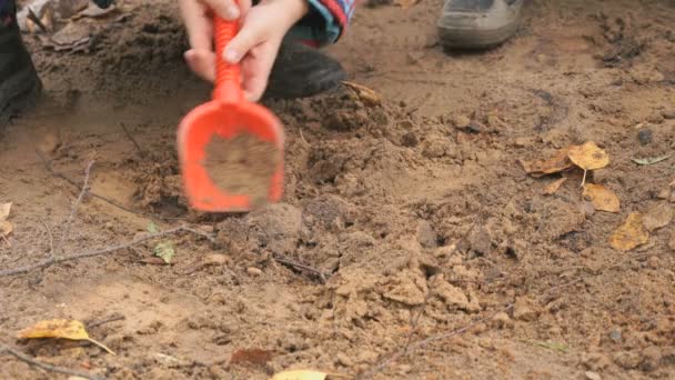 Bambino sconosciuto che gioca con la sabbia nella sabbiera — Video Stock