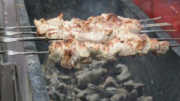 Cozinhar espetos de porco em espetos metálicos em brasas — Vídeo de Stock