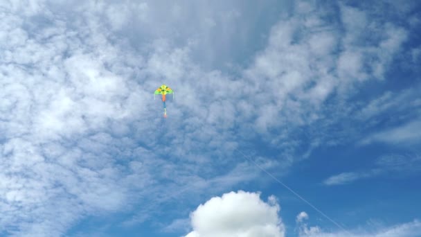 Flerfärgad flygande drake i en vacker blå himmel — Stockvideo