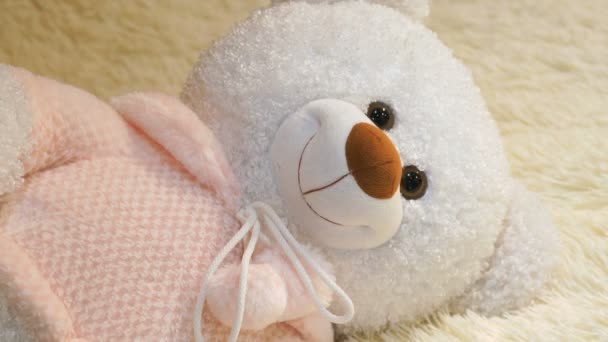 Suave hermoso oso polar blanco bebé juguete. Primer plano — Vídeo de stock