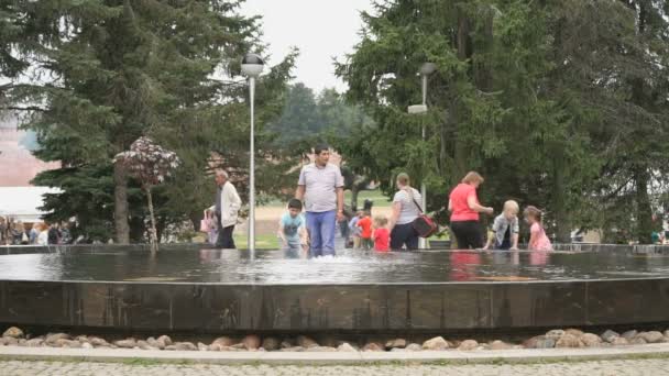 Ганзейский фонтан в Великом Новгороде, Россия — стоковое видео