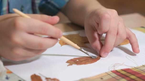 Barn som gör herbarium från bladen. Närbild — Stockvideo