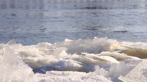 Rivière froide avec un lof de petits amas de glace — Video