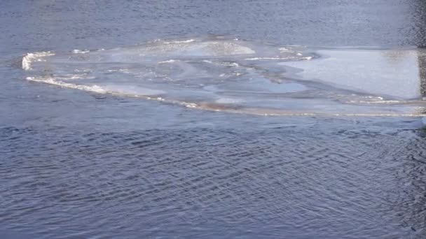 Большой ледяной поплавок плавает на реке в зимний день — стоковое видео