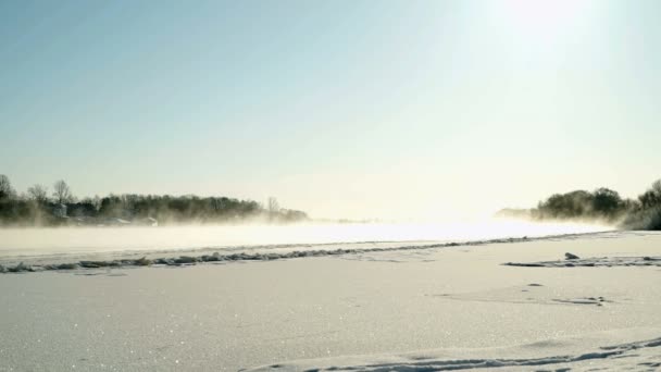 Prachtig winterlandschap in zonnige dag — Stockvideo