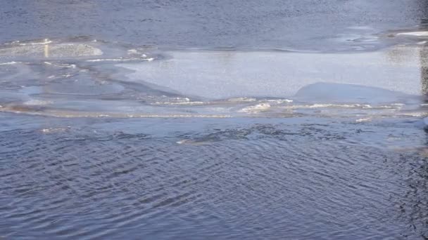Большой ледяной поплавок плавает на реке в зимний день — стоковое видео
