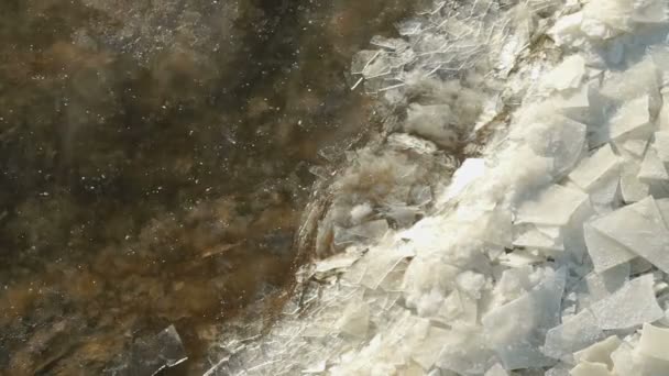 冰浮冰漂浮在岸边附近。温馨潜流. — 图库视频影像