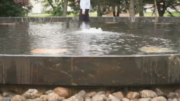 The Hanseatic fountain in Velikiy Novgorod, Russia — Stock Video