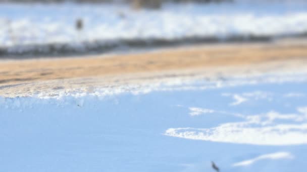 Φορτηγό μεταφοράς πηλού στο εργοτάξιο — Αρχείο Βίντεο