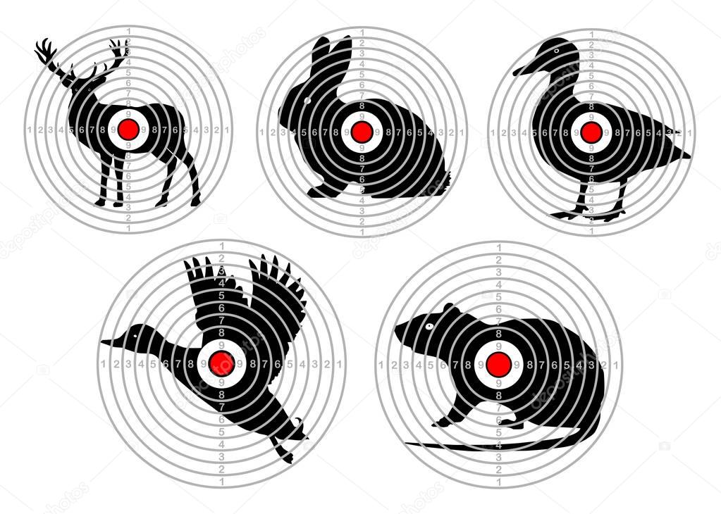 Set targets for animal shooting. Training hunting. vector — Stock