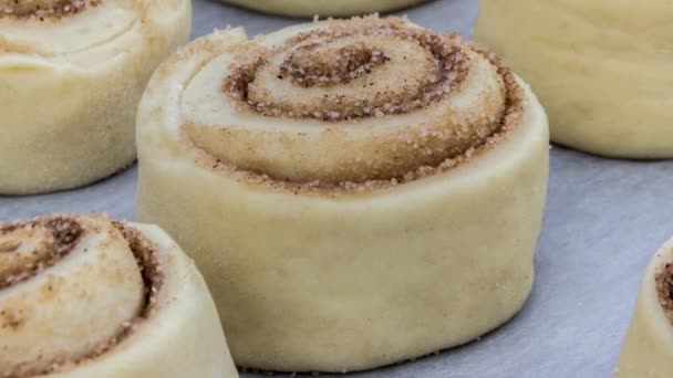 Appetizing uncooked cinnamon buns (sticky buns) — Stock Video